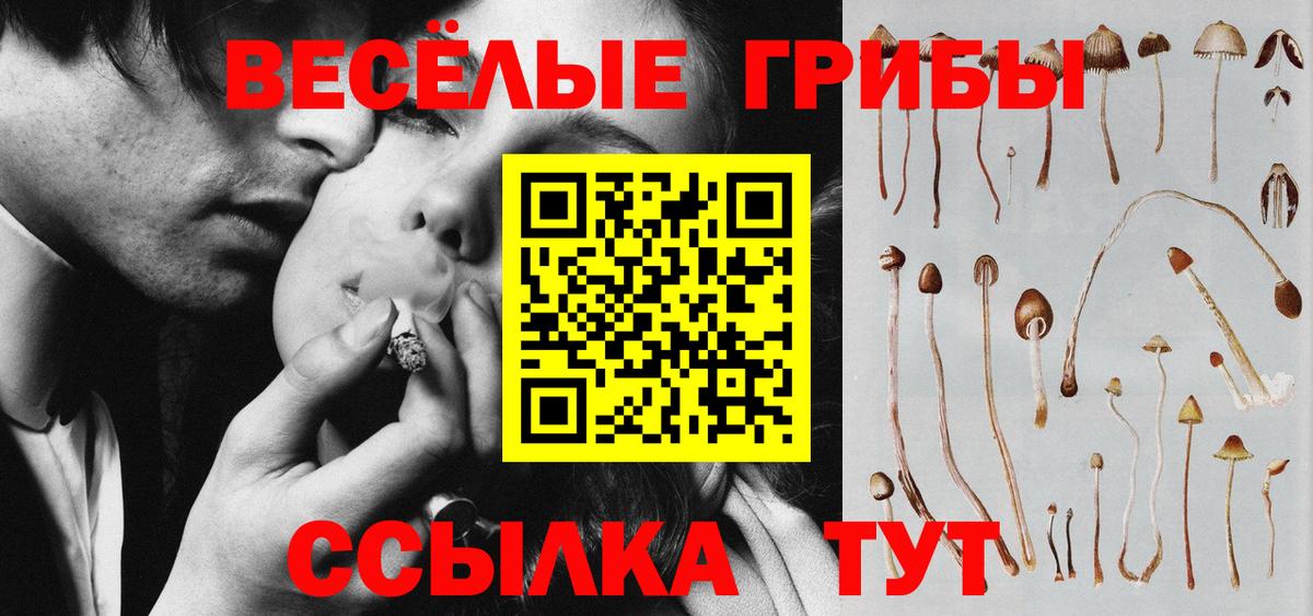 продажа наркотиков  Псилоцибиновые грибы Psilocybe  Вход с VPN  Миасс 